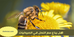 هل يباع سم النحل في الصيدليات