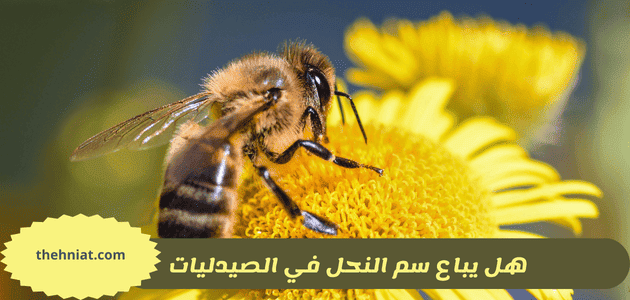 هل يباع سم النحل في الصيدليات,