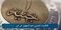 الاقتصاد المصري نحو المجهول الى اين